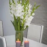 Orkana 10d Apartamento