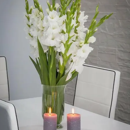 Orkana 10d Lejlighed